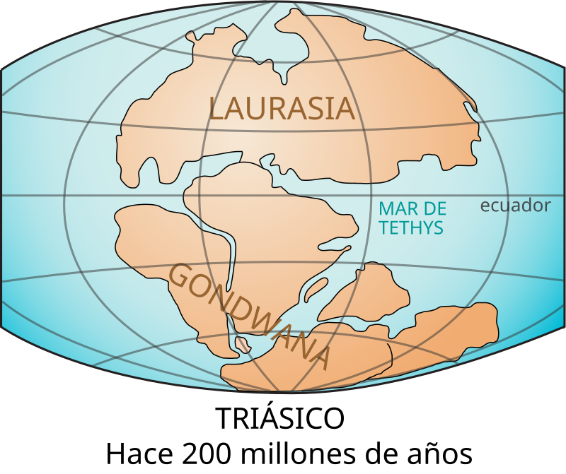 Mapa de Gondwana.