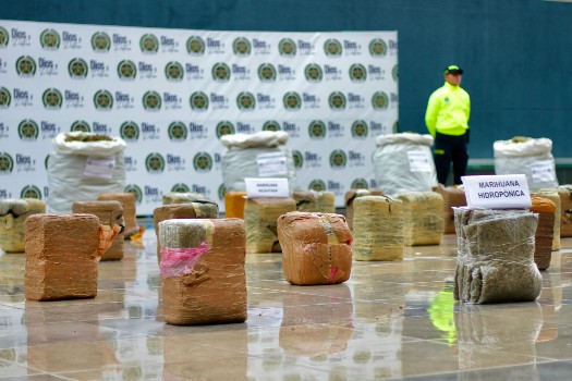 Golpe al microtráfico: policía incautó cerca de una tonelada de marihuana en Bogotá
