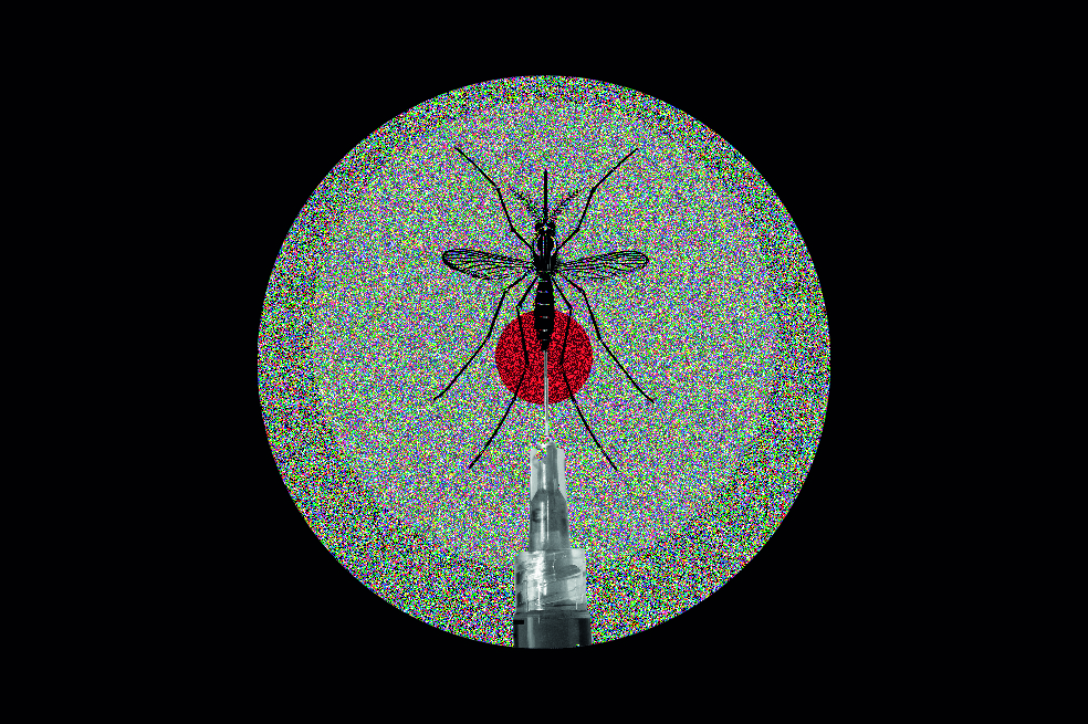 No más muertes por mosquitosUn experimento que busca acabar con la propagación del dengue llegará a su etapa final en 2020. Científicos habían liberado mosquitos infectados con la bacteria Wolbachia, que inhibe la propagación de virus transmitidos por los vectores, culpables de enfermedades como el dengue, el chikungunya y el sika.
