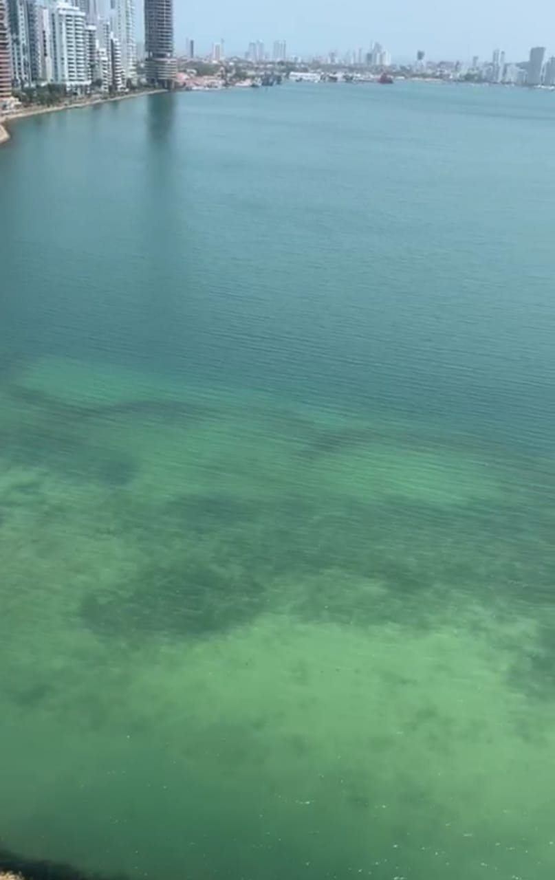 Bahía de Cartagena en la actualidad