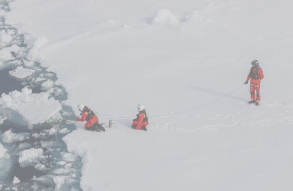 Algas del hielo marino del Ártico están muy contaminadas con microplásticos
