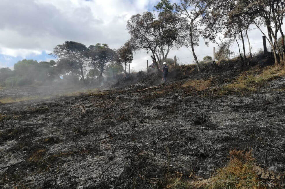 Al menos 110 incendios forestales se han presentado en Cundinamarca este mes