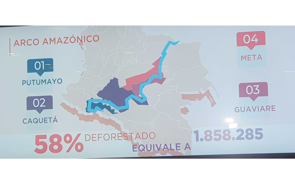 Deforestación en la Amazonia.