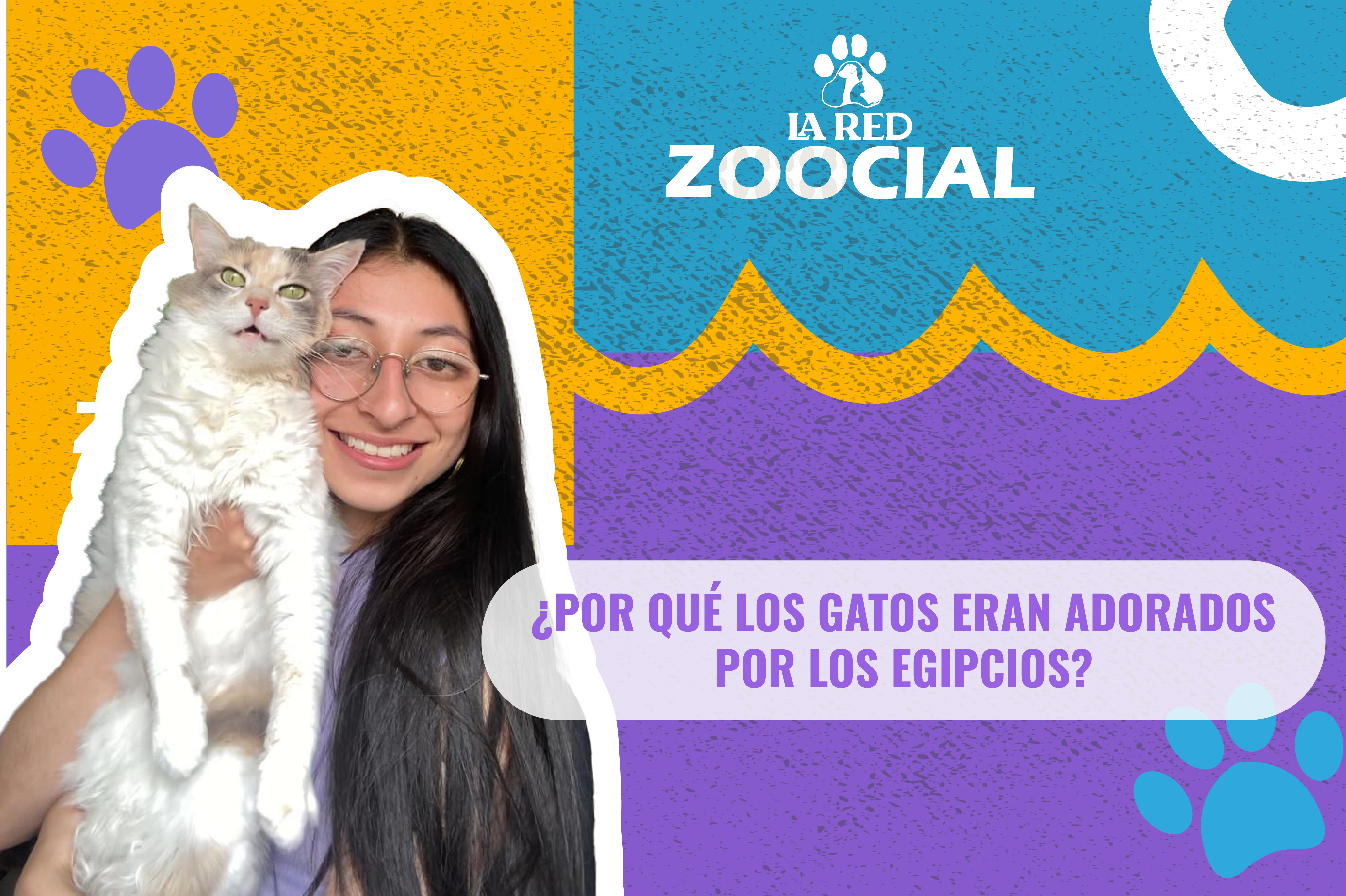 (Video) ¿Por qué los gatos eran adorados por los egipcios?
