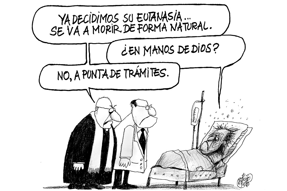 Thumor