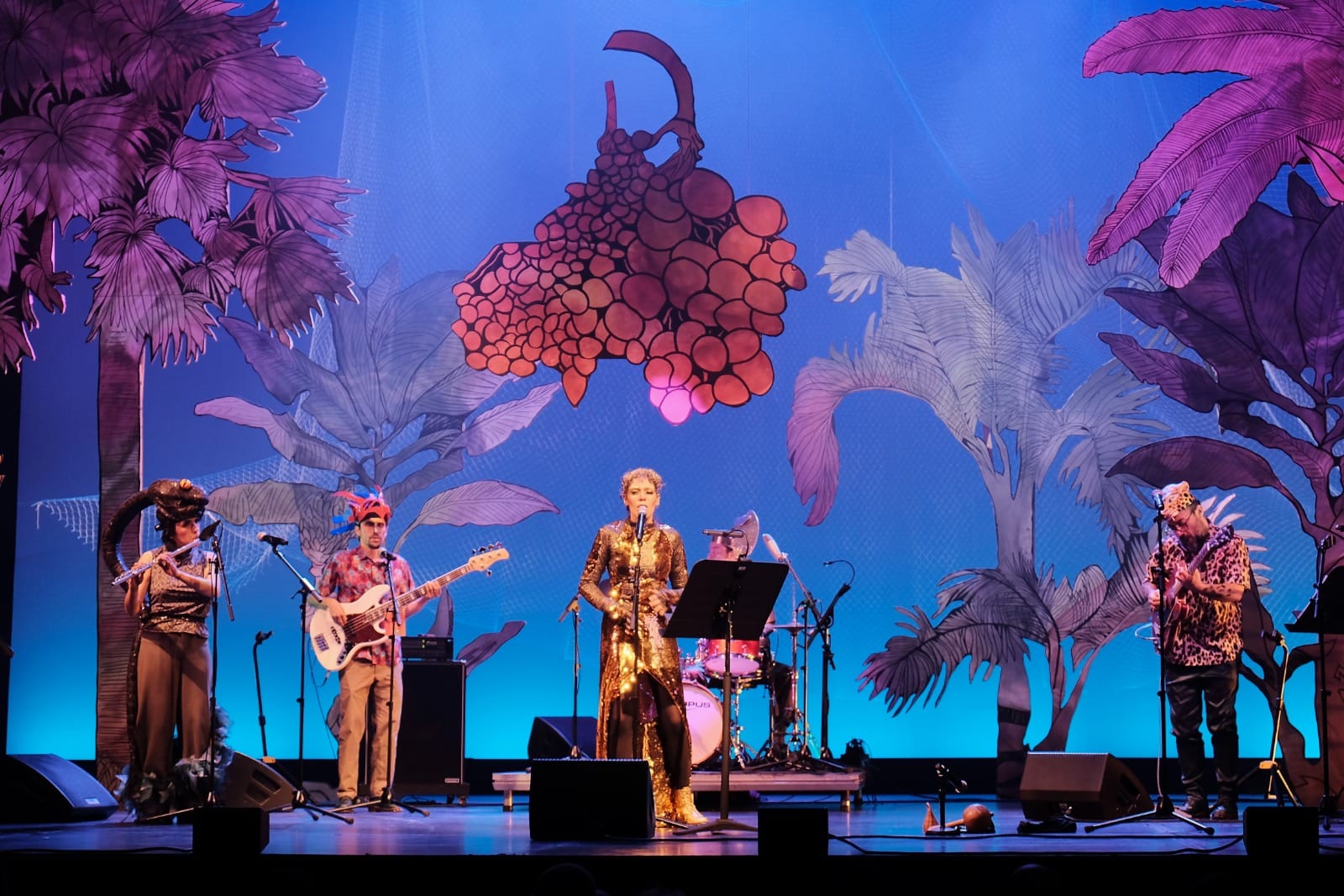 Suricato: un recorrido musical por Colombia