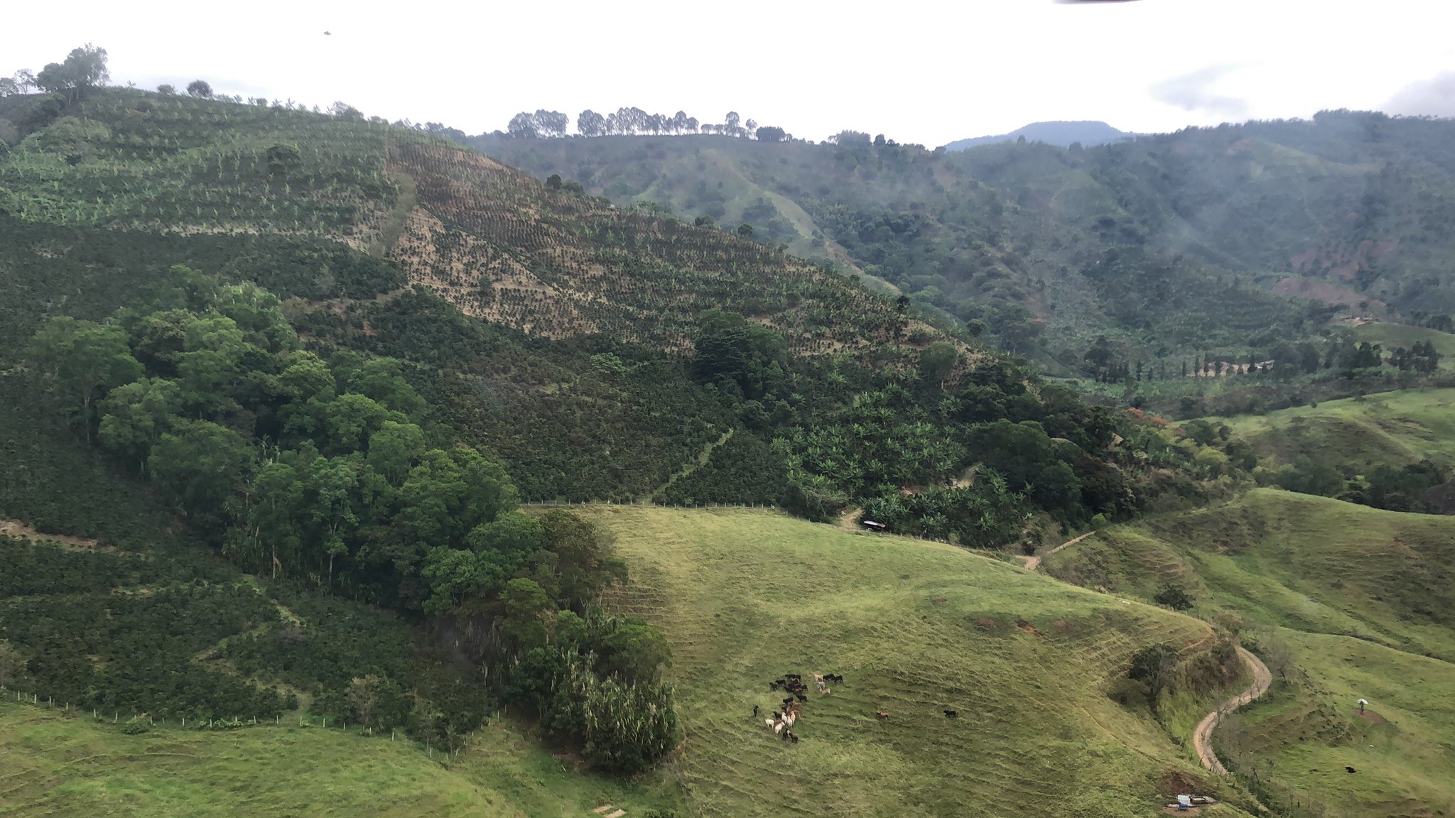 Macabro hallazgo: encuentran a hombre decapitado en zona rural de Andes, Antioquia
