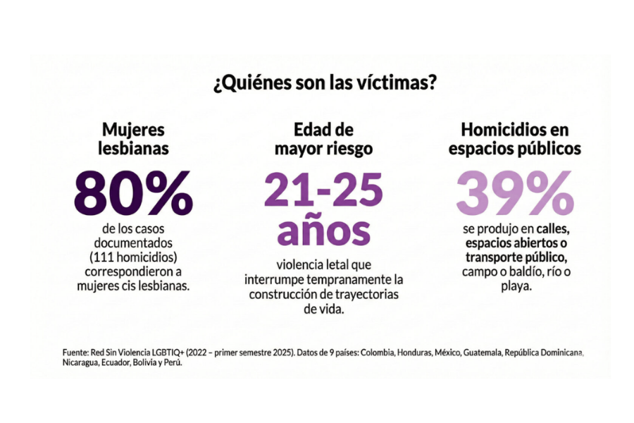 Perfiles de mujeres LBQ asesinadas entre 2022 y 2025, según la Red Sin Violencia LGBTIQ+.