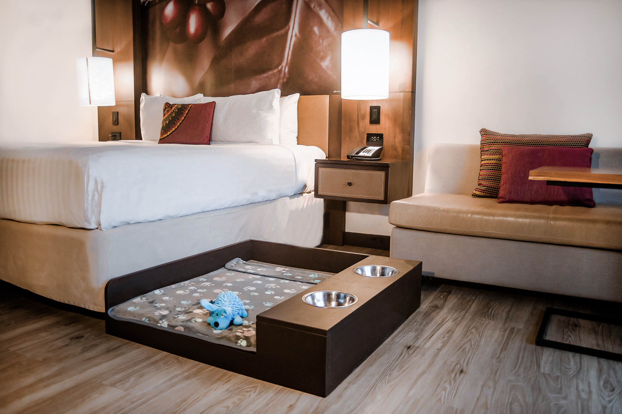 Es un hotel Pet Friendly, por eso no tendrá que preocuparse dejar a su mascota en casa.