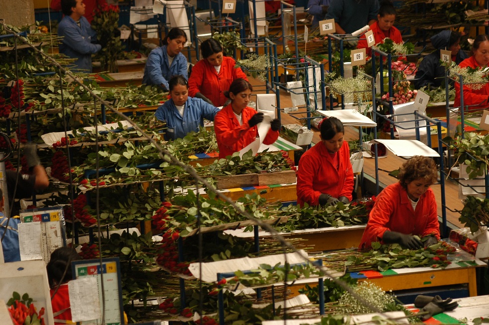 ¿Cómo van los Tratados de Libre Comercio (TLC)?