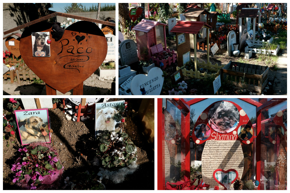 Casa Rosa, el único cementerio de mascotas con casi 90 años de historia