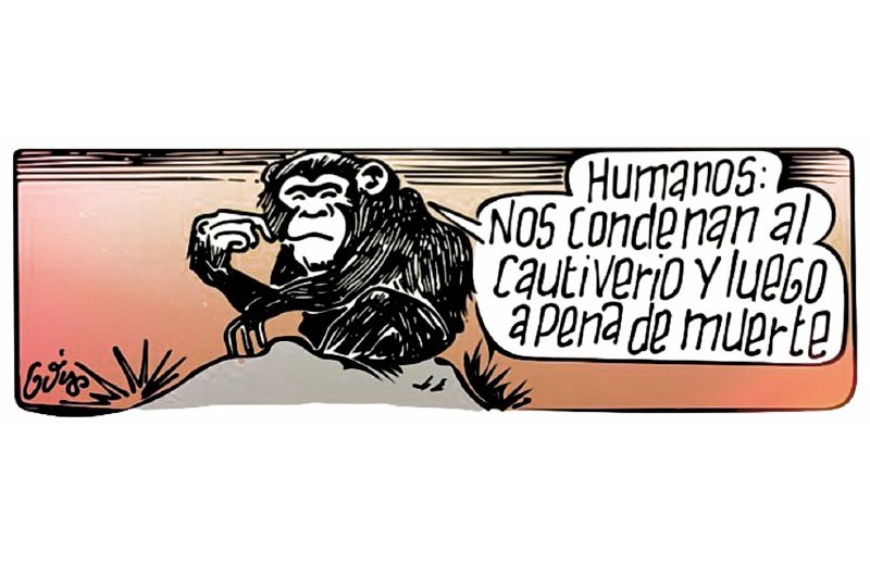 Culpables por existir