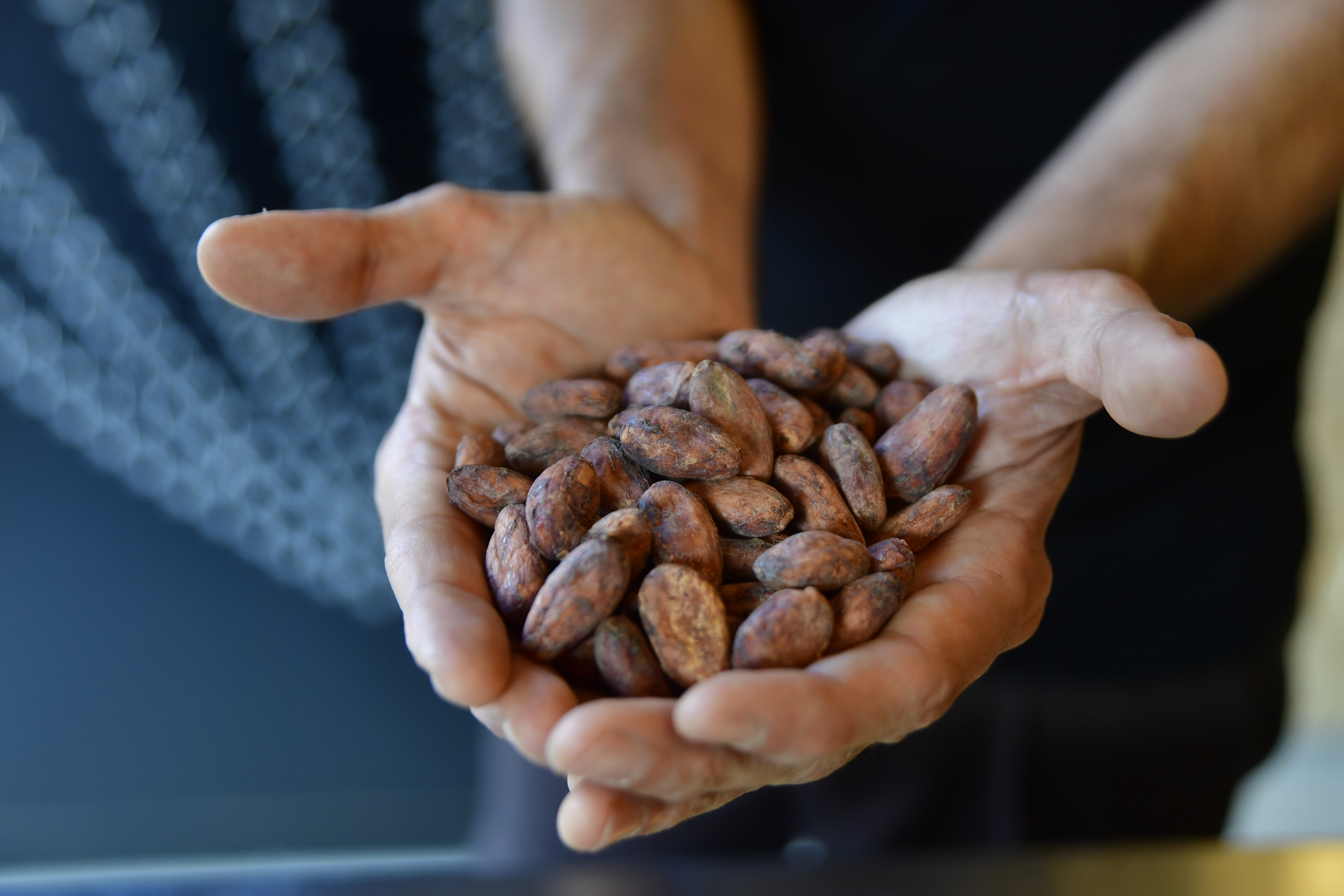 “Cualquier preferencia de consumo es gesto político”: Baglio La Rotonda, de Cacao Disidente