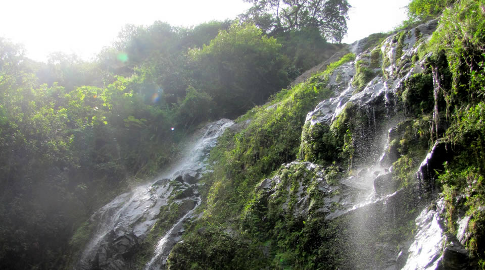 Parques Nacionales Naturales de Colombia