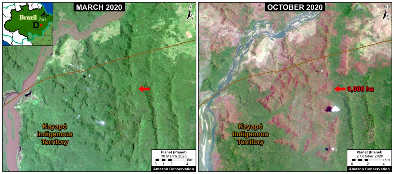 Deforestación Amazonia