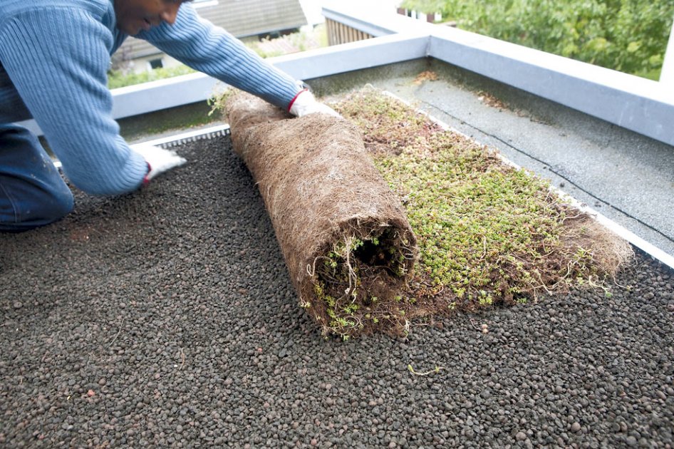 Los ecotechos pueden filtrar y absorber gases causantes del efecto invernadero.