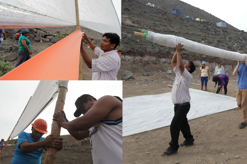 «Atrapanieblas», una innovadora idea para recolectar agua en el desierto