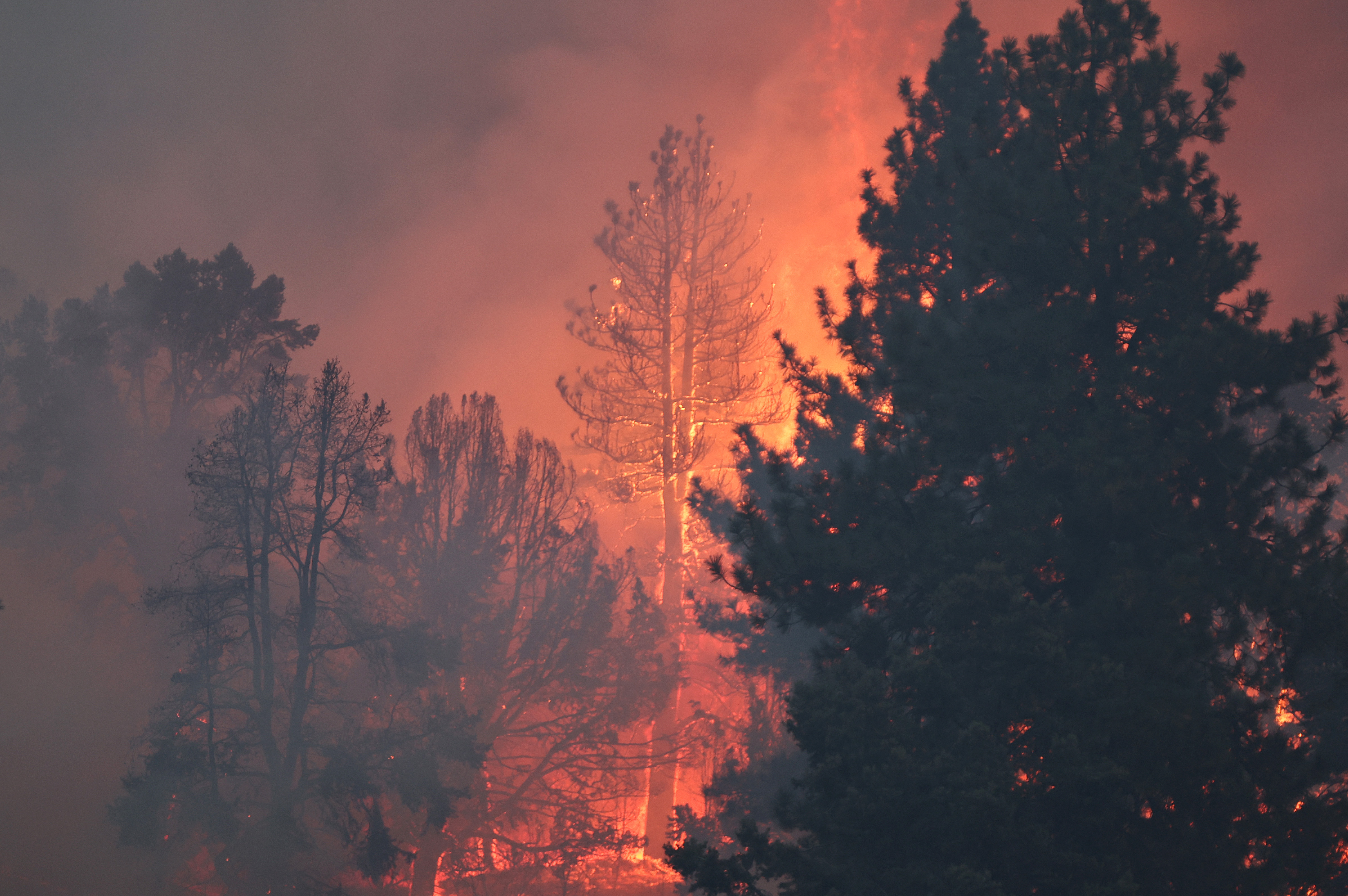 Incendios en Los Ángeles, EE. UU.: casas destruidas y miles de hectáreas quemadas