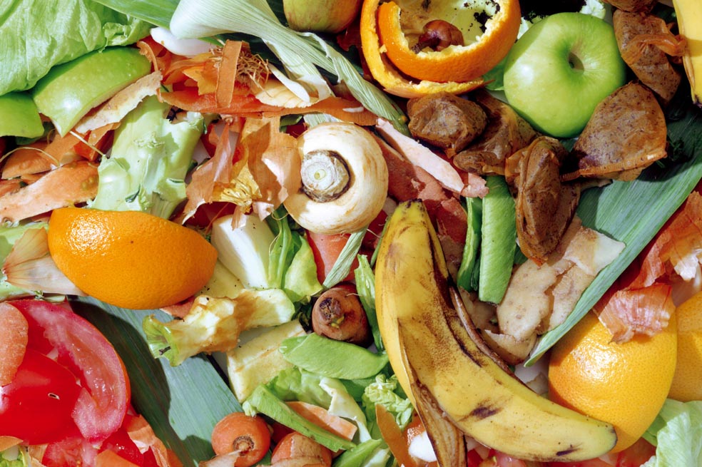 Desperdiciar comida: el problema de no saber cuánto alimento botamos a la basura
