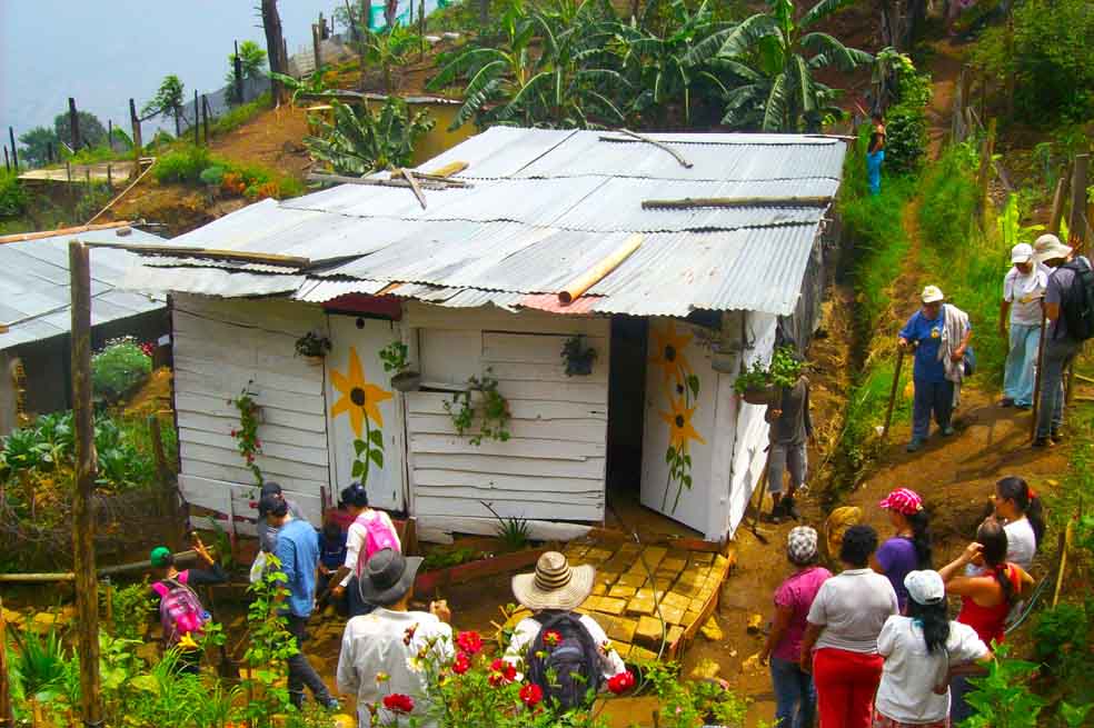 Desplazados recuperan su esencia campesina