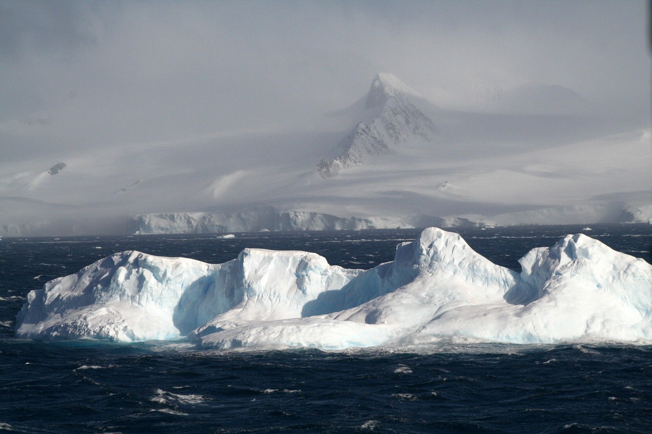 El ecosistema que escondía un iceberg gigante que se desprendió en la Antártida