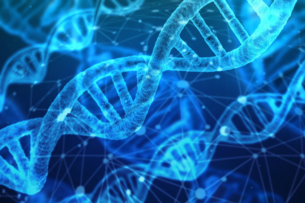 ADN en las células, el «Descubrimiento del Año» en 2018 para la revista Science