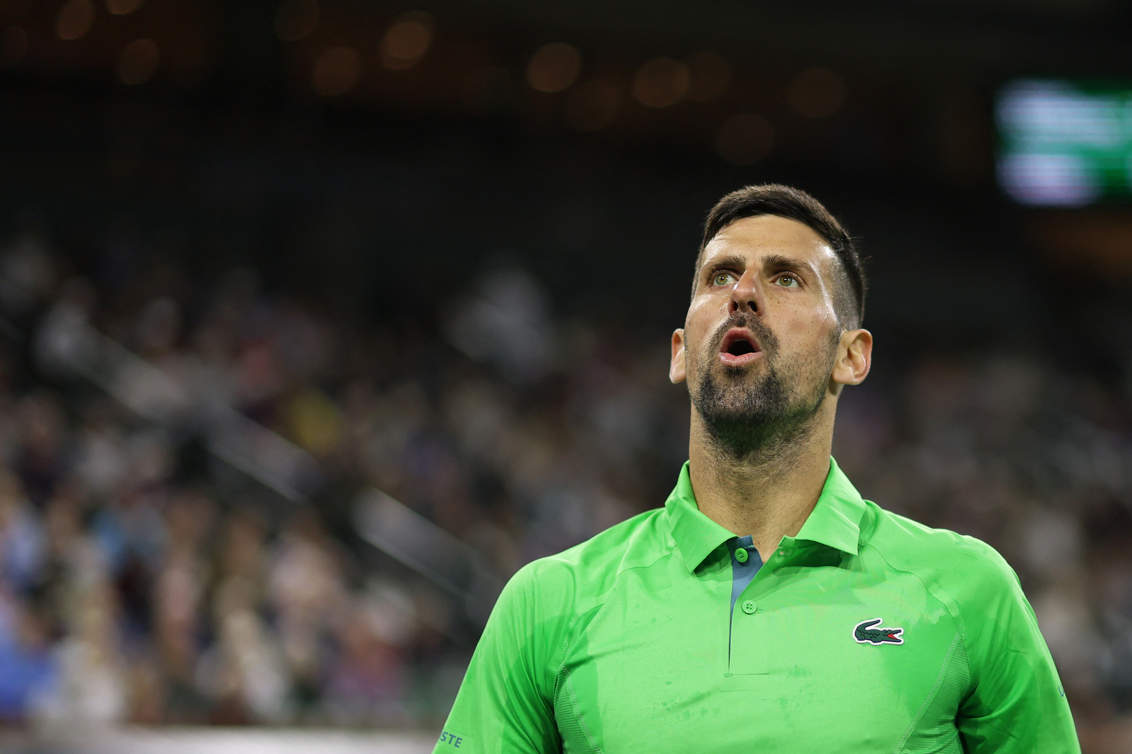 ¡Batacazo en Indian Wells! Novak Djokovic fue eliminado por el número 123 del mundo