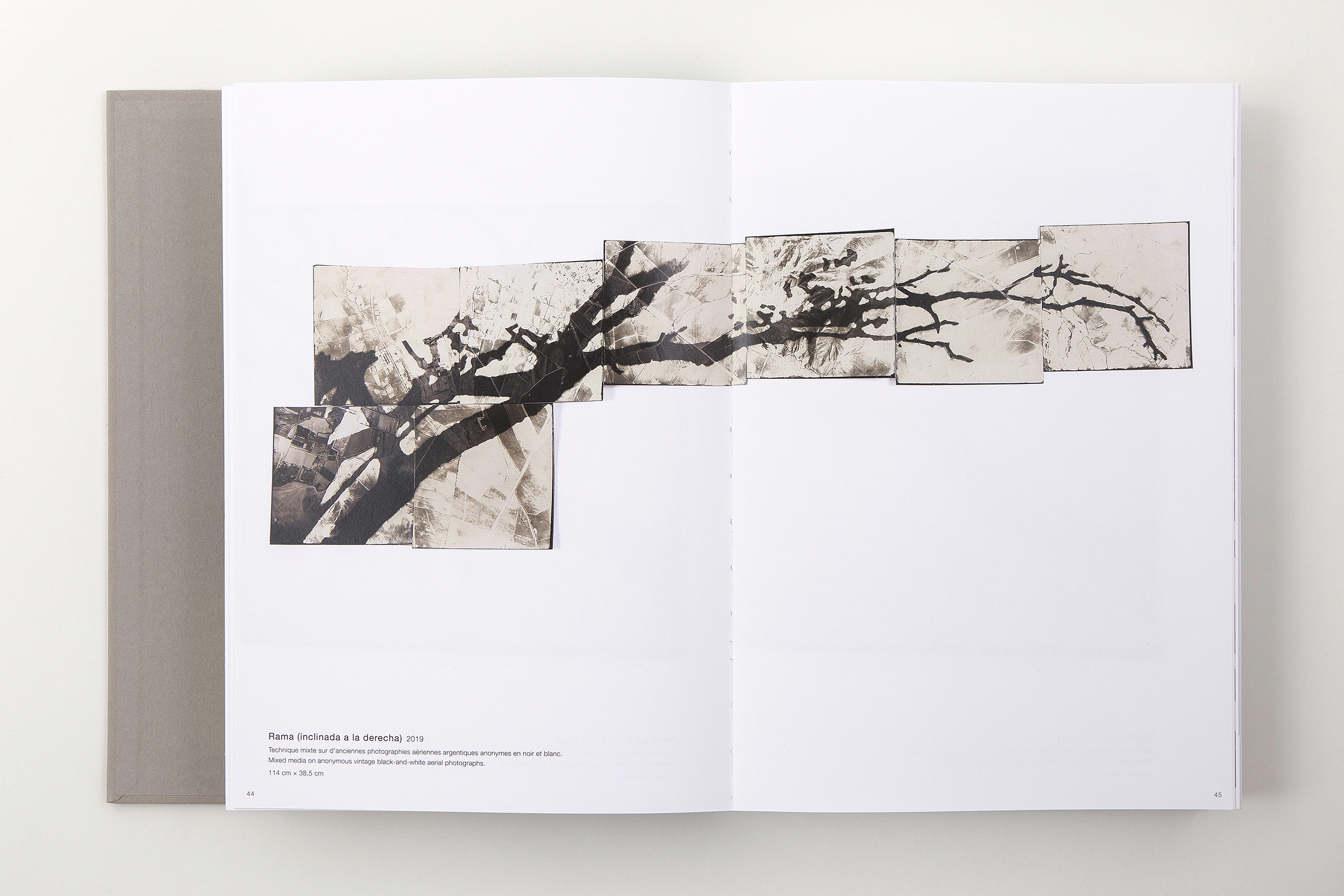 El libro "Johanna Calle Photo Graphias" fue editado en conjunto por las editoriales Toluca (París) y RM (Barcelona).
