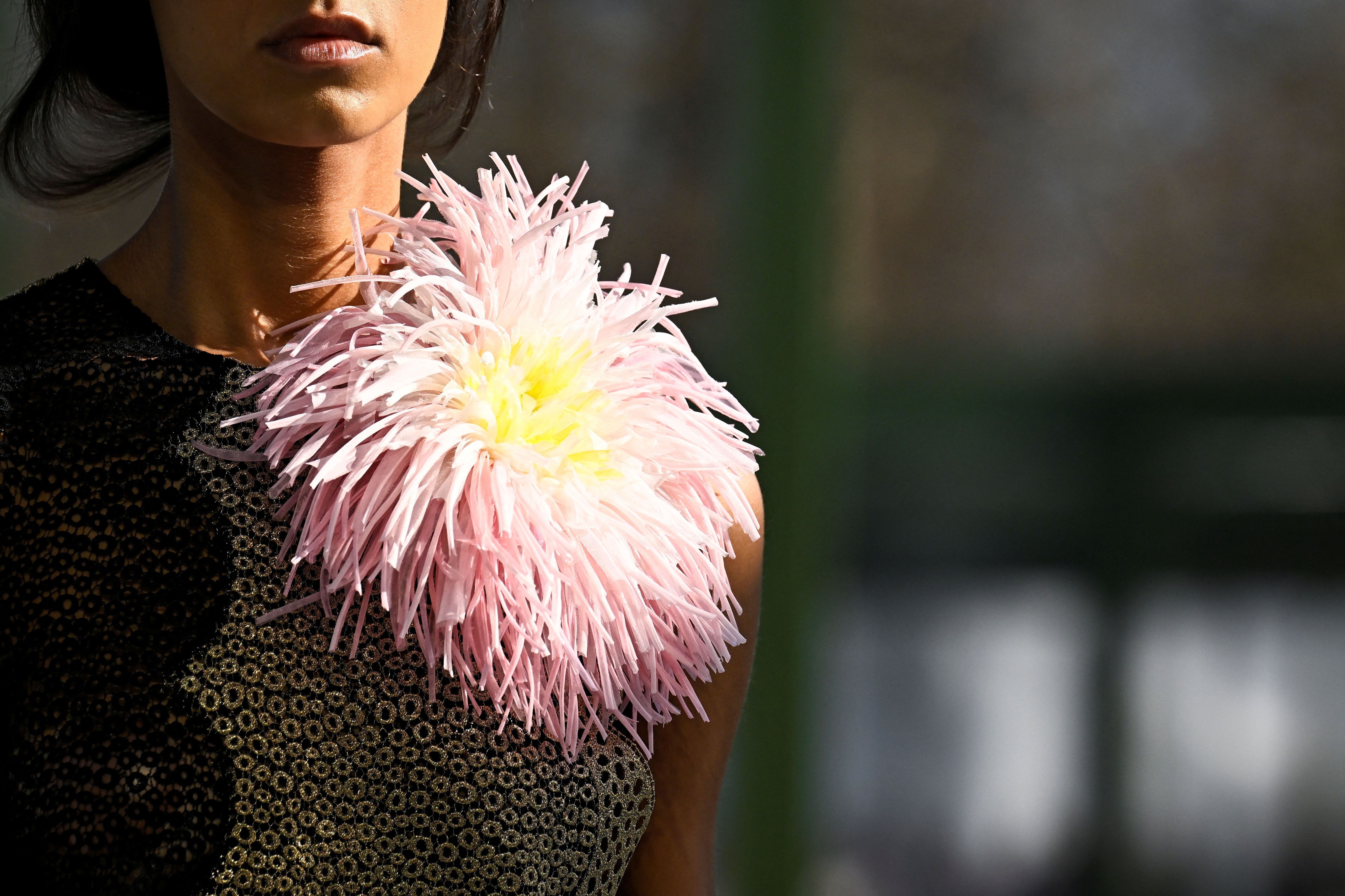 El diseñador Jonathan Anderson apostó por una colección muy floral para su desfile de Dior. / Julien de Rosa / AFP