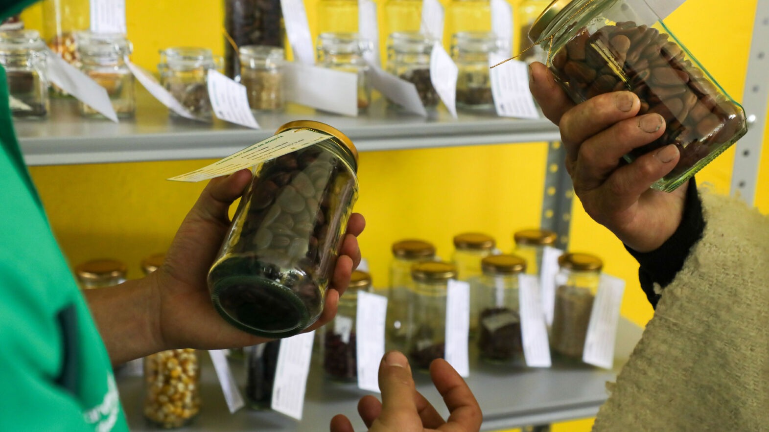 Abren banco de semillas agroecológicas en Sumapaz, en el sur de Bogotá