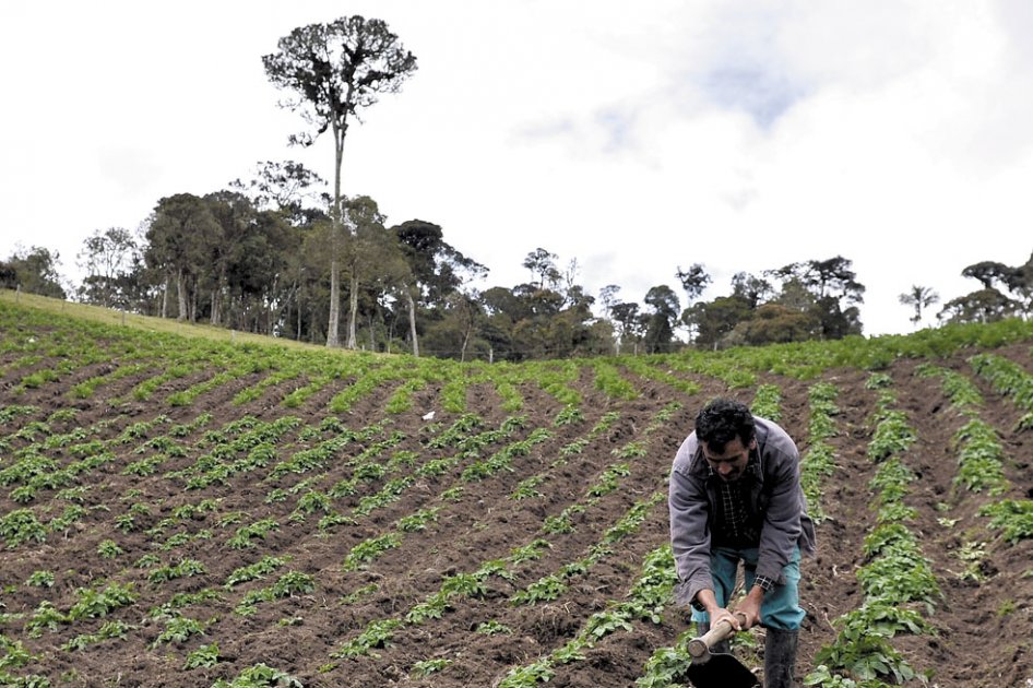 La lucha de la Asociación Nacional de Zonas de Reserva Campesina