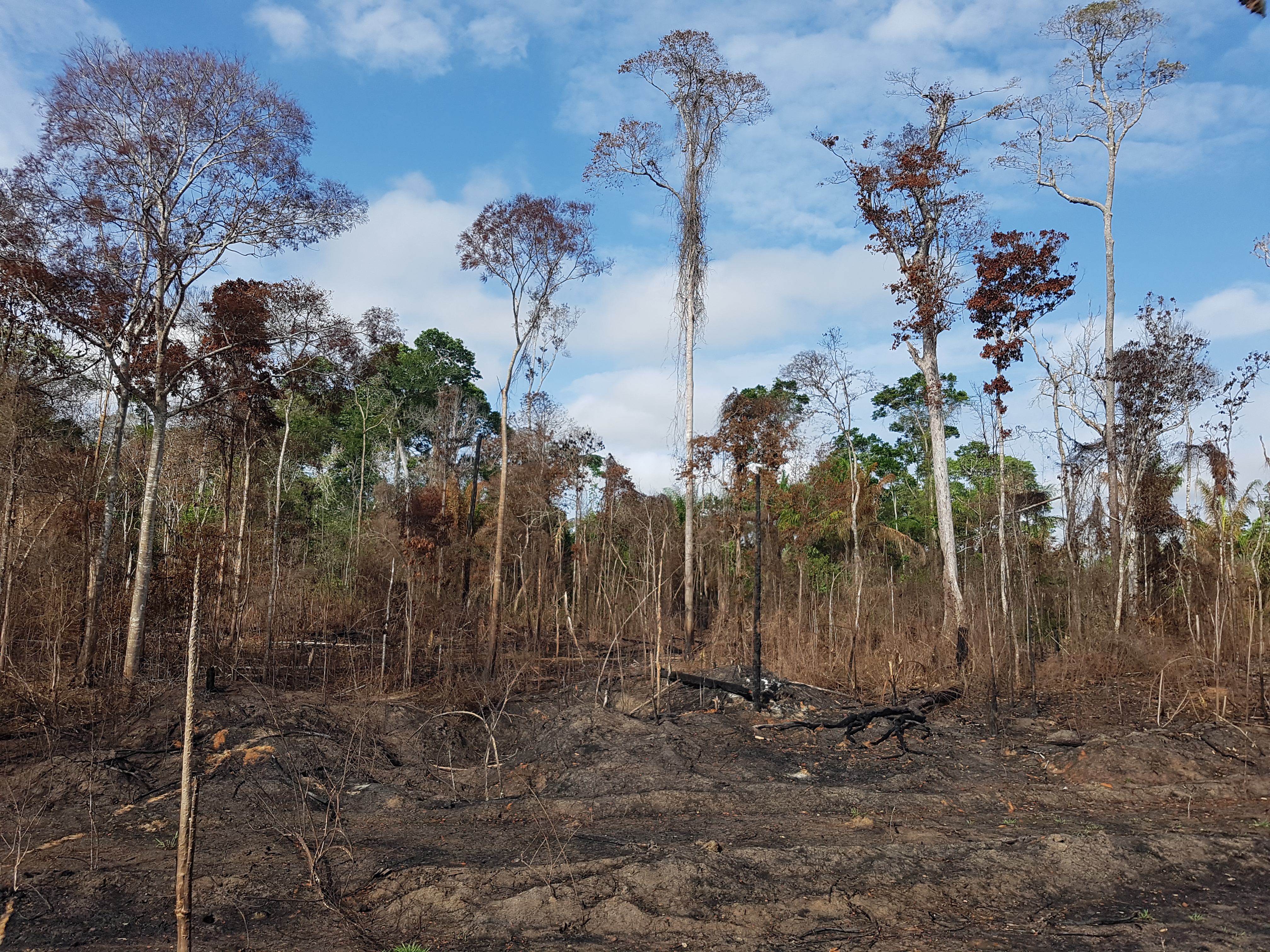 Gobierno tiene seis meses para reglamentar acción contra el cambio climático