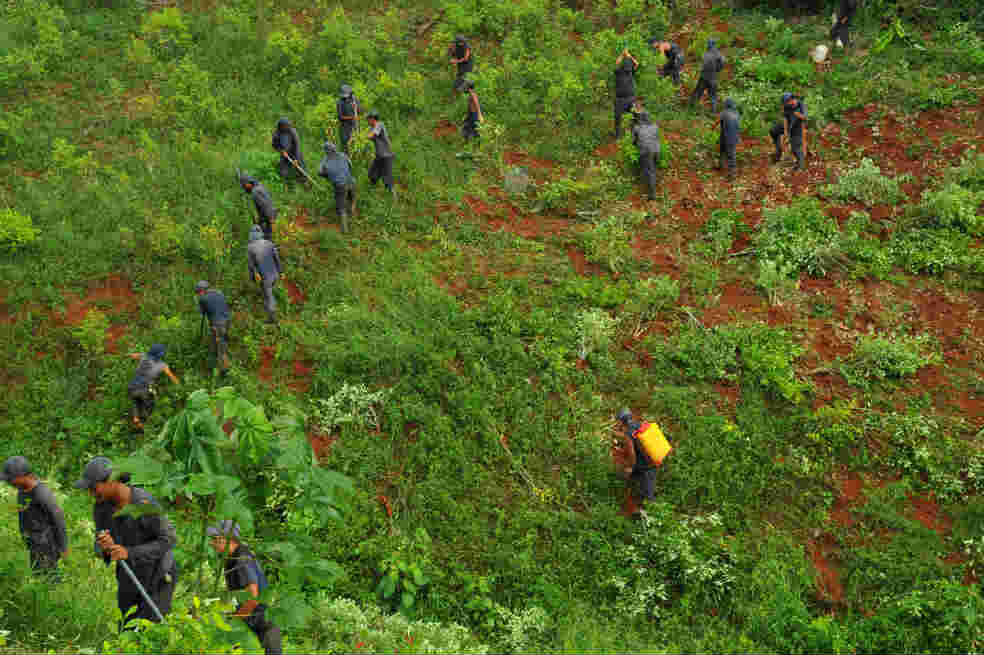 Farc siguen destapando sus cartas en propuestas de política agraria