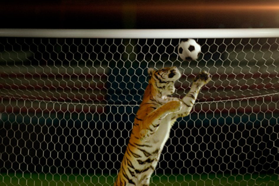 "Las fieras del fútbol" se emite cada lunes por NatGeo.