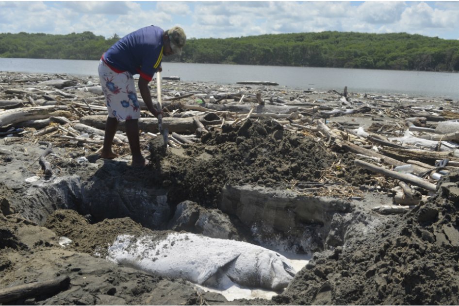 / Foto: Corporación Autónoma Regional del Atlántico