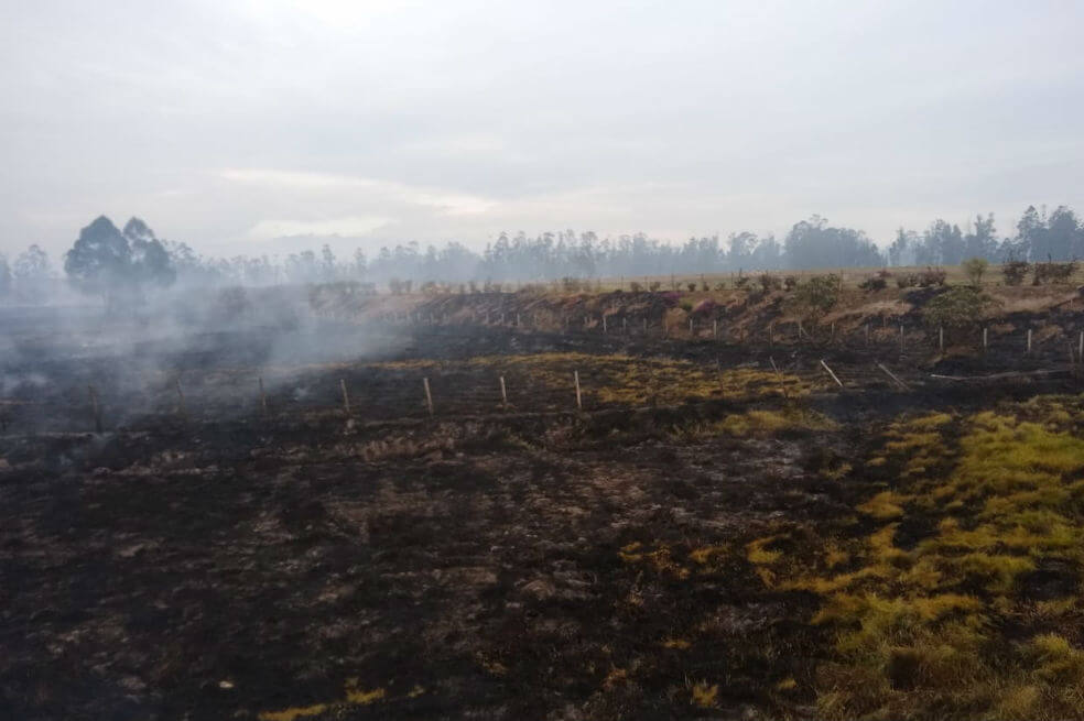 Incendio en la ronda del río Bogotá afectó 15 hectáreas de siembra