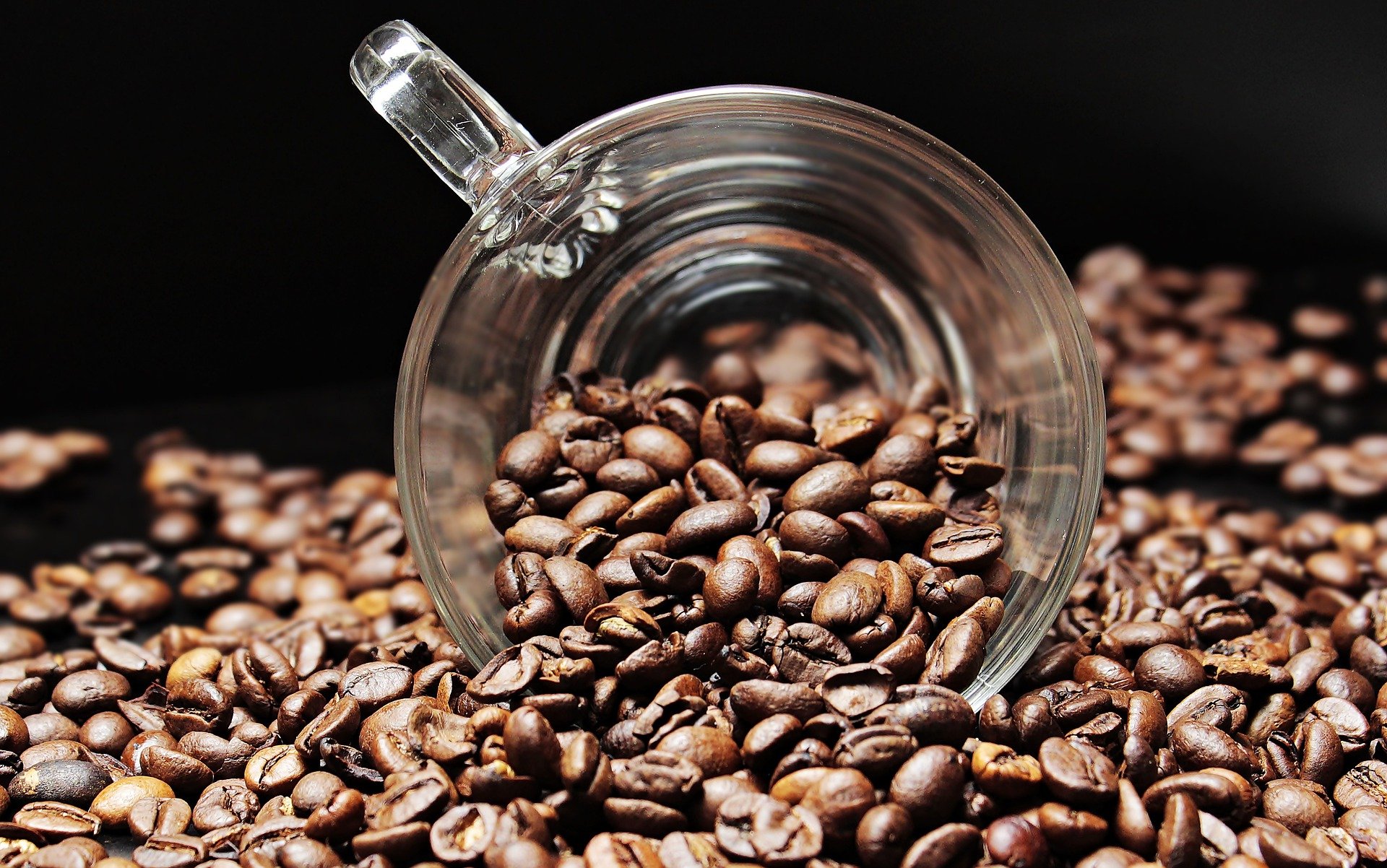 Asiste a esta feria y disfruta de los mejores cafés colombianos