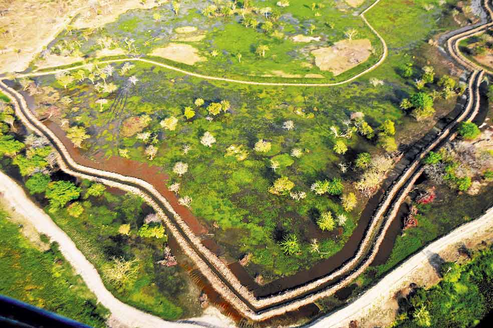 El despojo de tierras detrás del lío ambiental de la Ciénaga