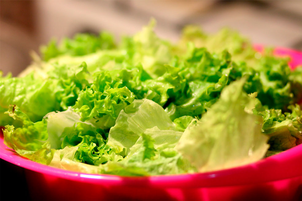 Lechuga: conoce algunas propiedades para tu salud