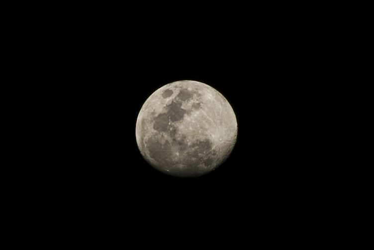 Descubre lo que la luna de enero trae para ti