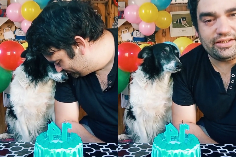 “Es todo para mí”: emotivo video de cumpleaños de un hombre a su perrito de 14 años