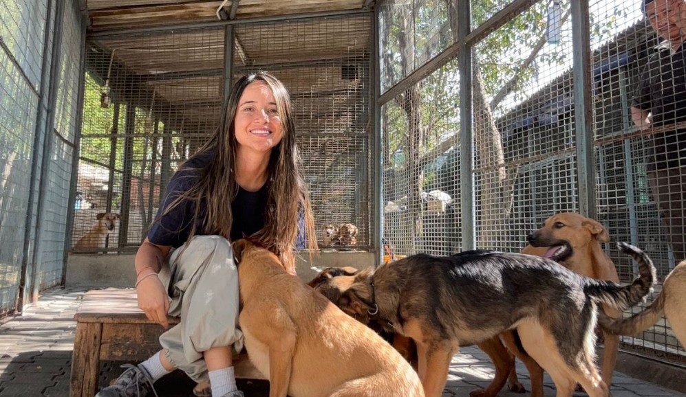 Este refugio en Bogotá está dando una nueva vida a los perros que nadie quiso