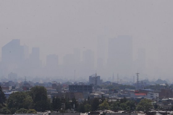 Un 23% de muertes en el mundo están relacionadas con el medio ambiente