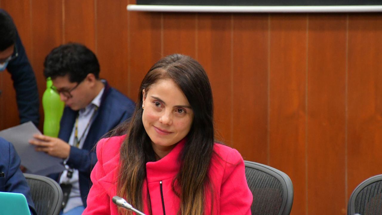 Detalles del proyecto de ley que prohibiría las corridas de toros en Colombia