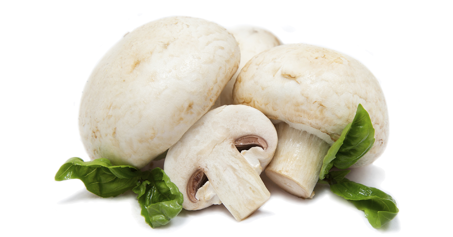 Cuatro beneficios de comer champiñones