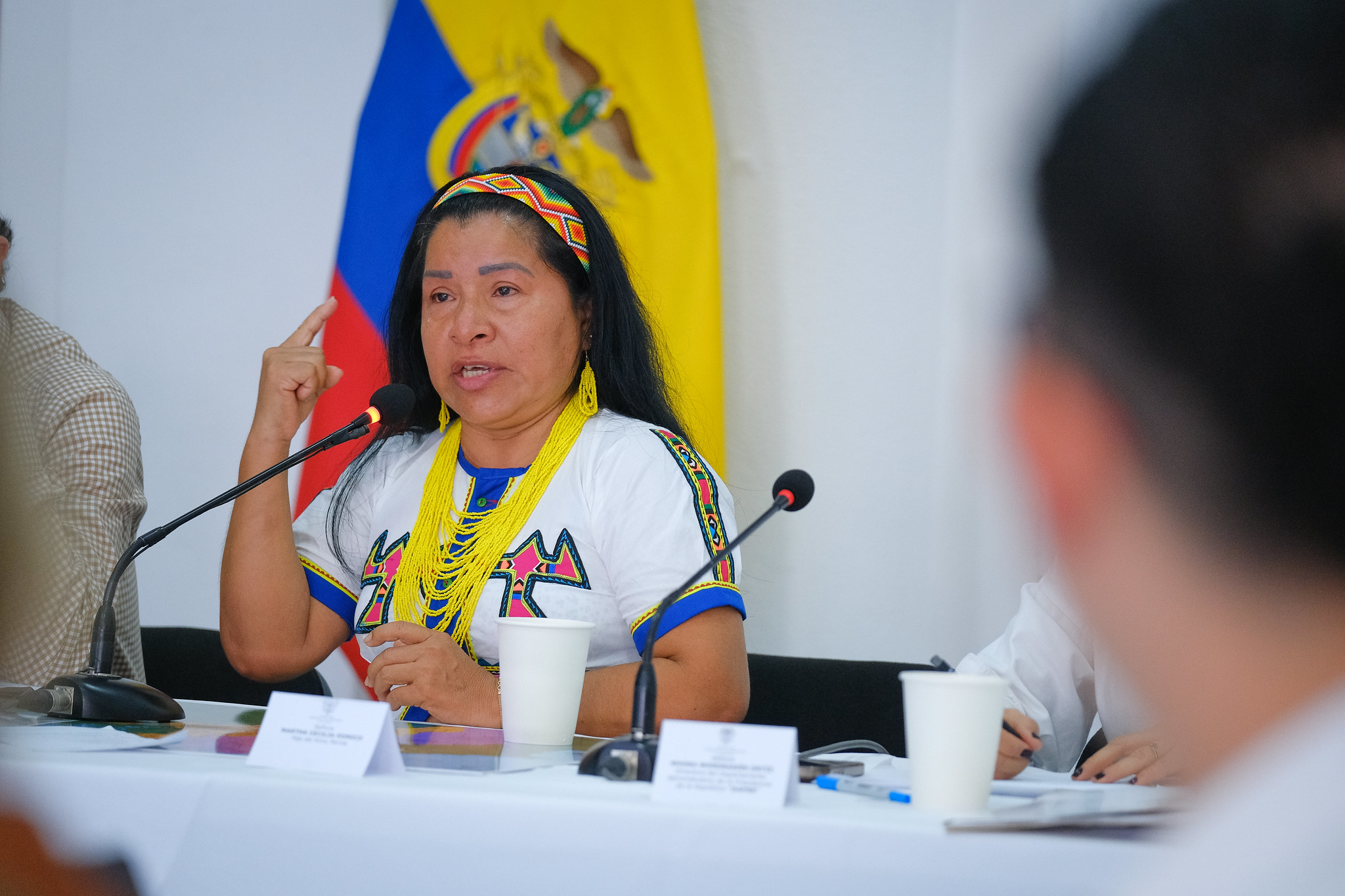 Martha Cecilia Domicó hija del líder indígena Kimy Pernía Domicó, asesinado por paramilitares tras su protesta por la construcción de la hidroeléctrica de Urrá.