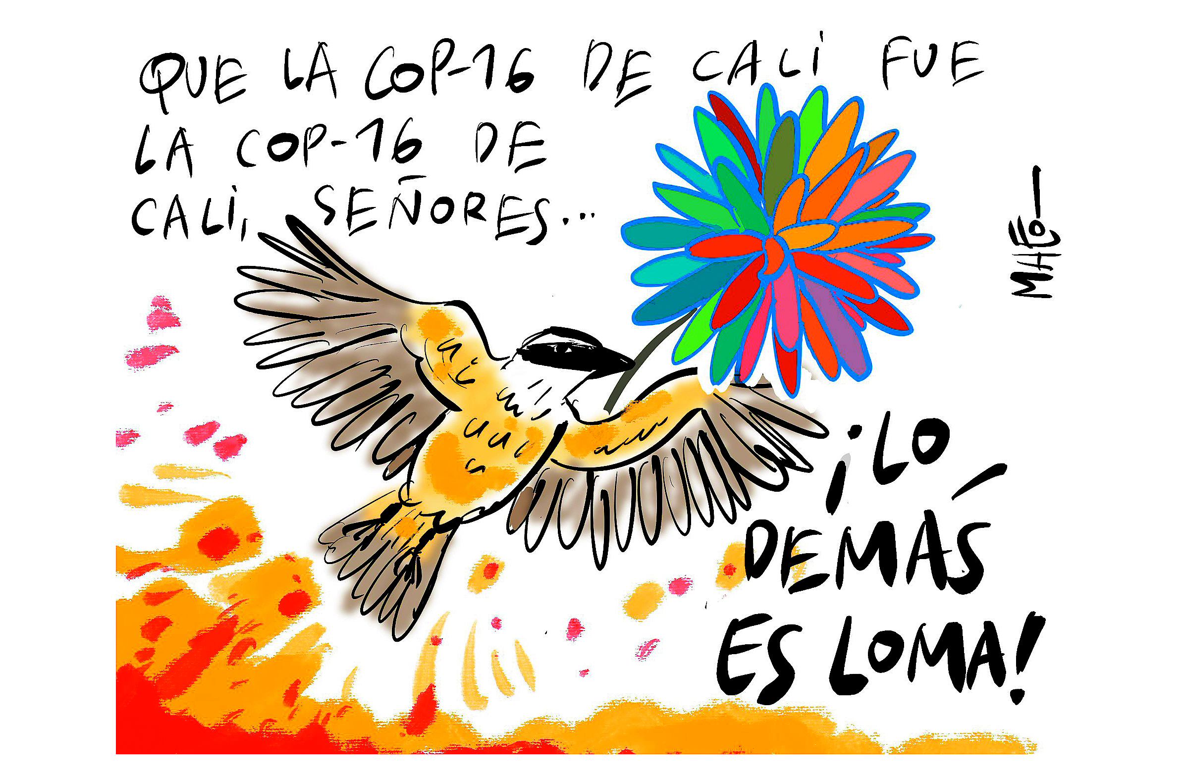 ¡Gracias, Cali!