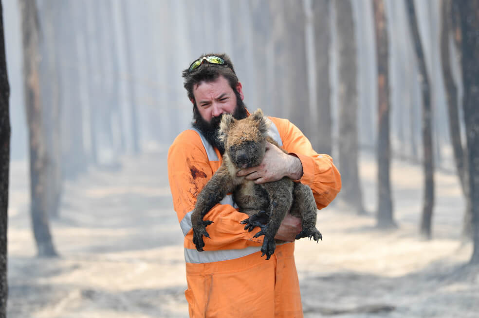 Incendios en Australia impactaron más al clima que las emisiones humanas en 2020