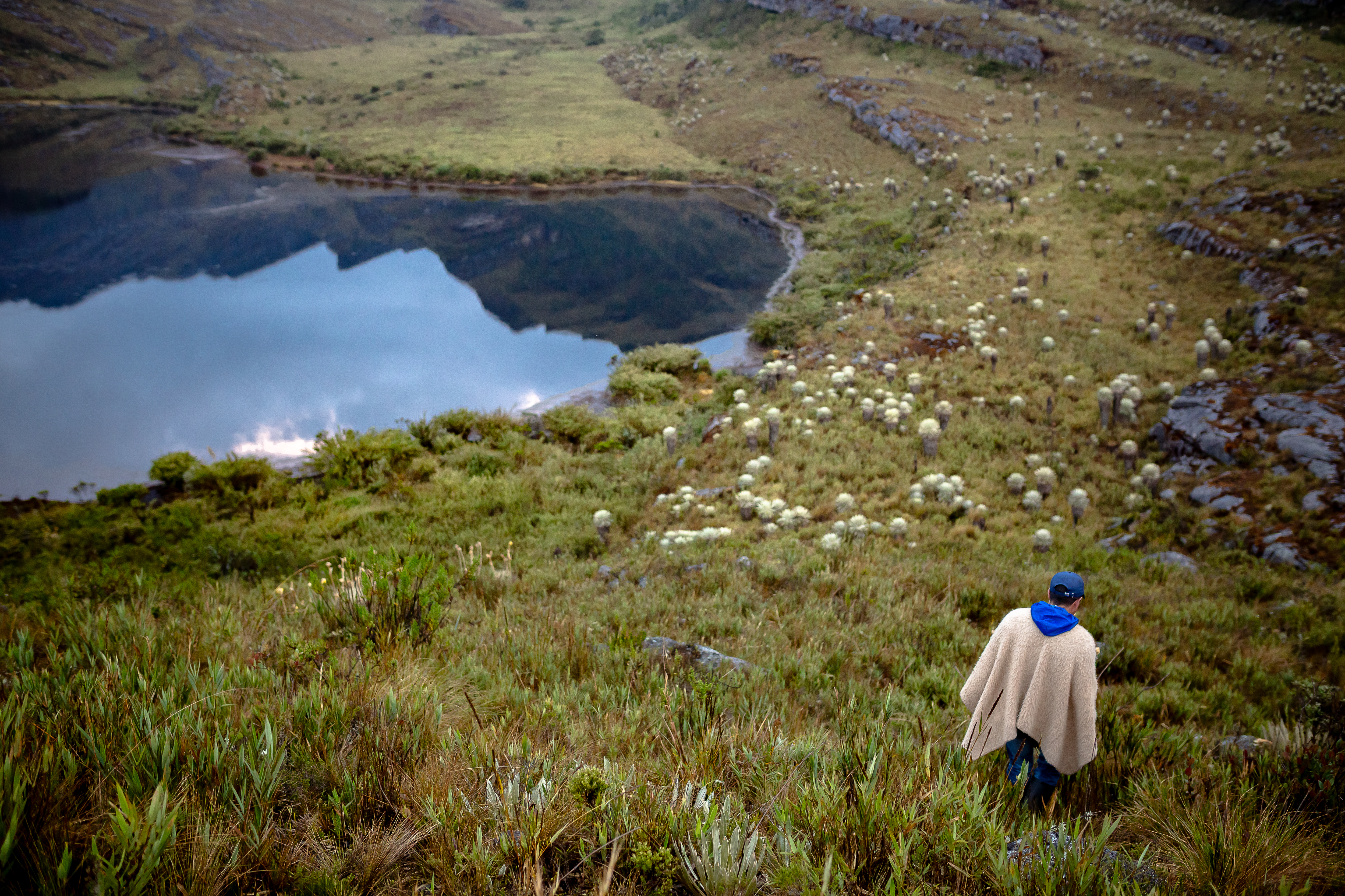 Los páramos y la alta montaña serán el centro del diálogo en la Casa Humboldt de Tunja