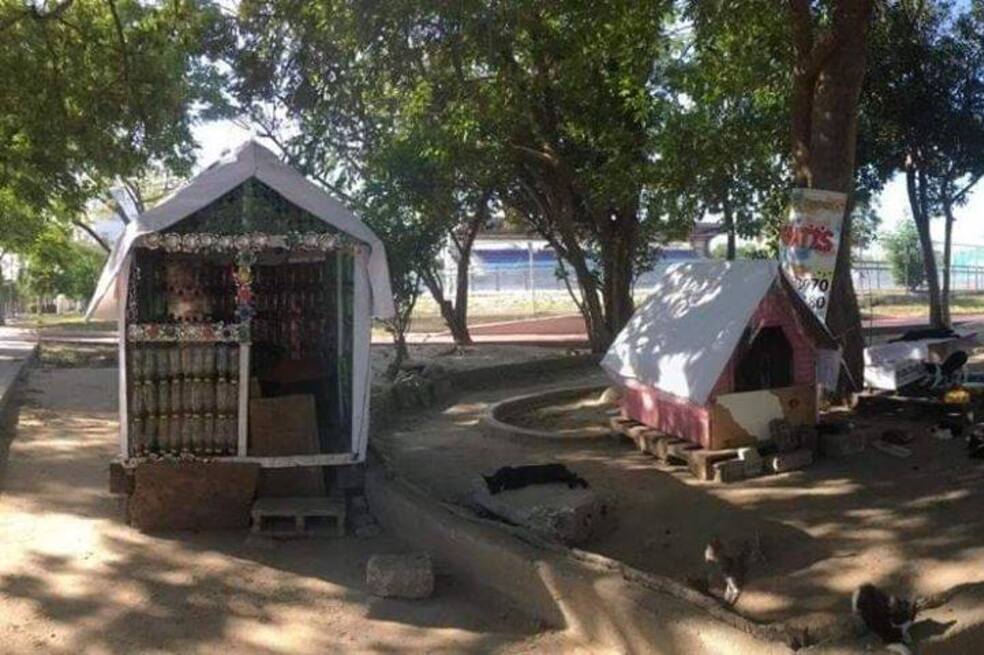 Este es el lugar de Santa Marta en el que abandonan decenas de gatos